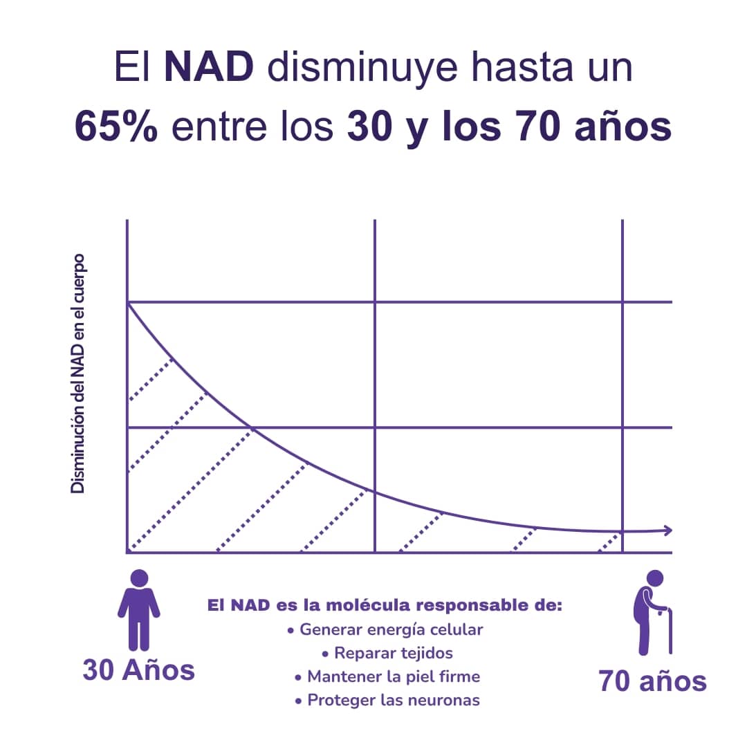 NAD+RESVERATROL - SUPLEMENTO ANTIEDAD